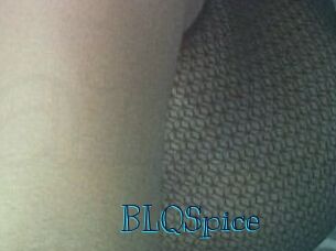 BLQSpice