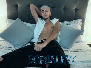 BORJALEVY