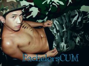 BachelorsCUM