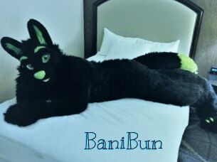BaniBun