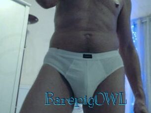 BarepigOWL