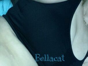 Bella_cat