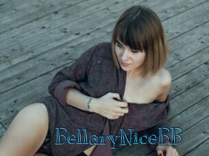 BellaryNiceBB