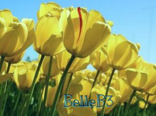 BelleB3