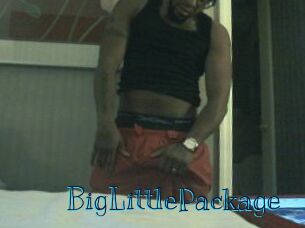 BigLittlePackage