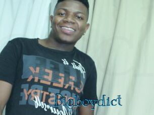 Bigboydict