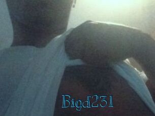 Bigd231