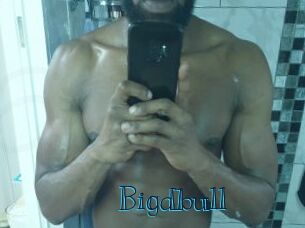 Bigdbull