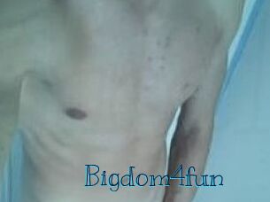 Bigdom4fun