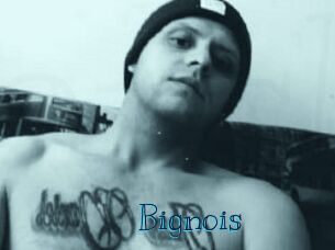 Bignois