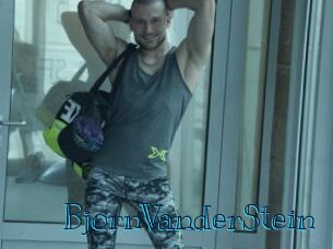 BjornVanderStein
