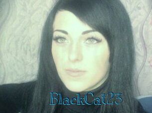 BlackCat23