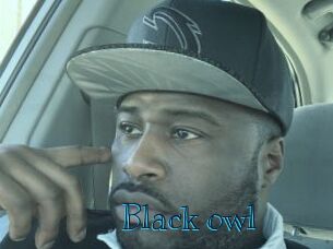Black_owl