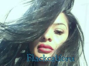 Blackcatforu