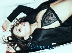 Blossom Archive DVD BIZ