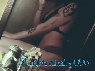 Bluebirdbaby096