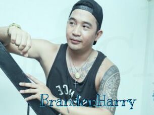BrandonHarry