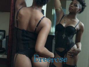 Breerose