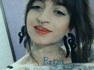 Briza