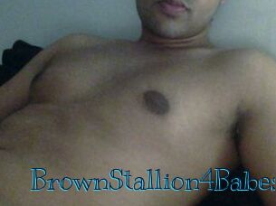 BrownStallion4Babes