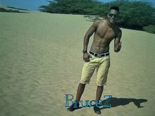 BruceZ