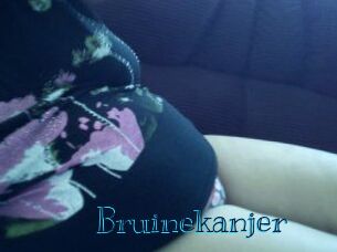 Bruinekanjer