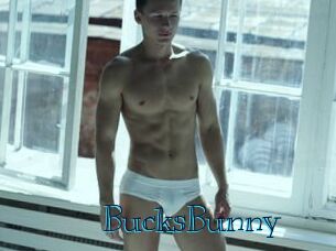 BucksBunny