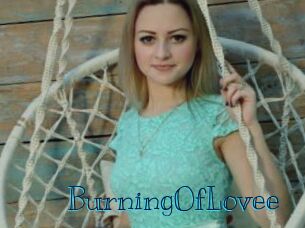 BurningOfLovee