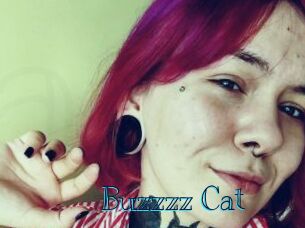 Buzzzz_Cat