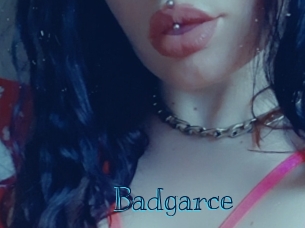 Badgarce