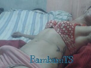 BambamTS