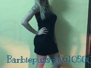 Barbiepussy-06105005