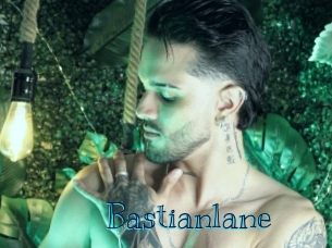 bastianlane Archive DVD BIZ