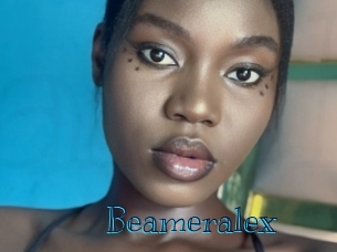 beameralex Archive DVD BIZ