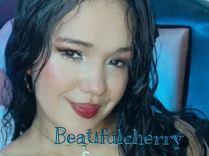 beatifulcherry Archive DVD BIZ