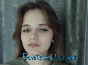 beatrixblumer Archive DVD BIZ