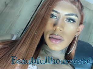 Beautifullhoursecock