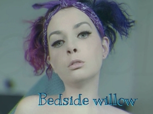 Bedside_willow