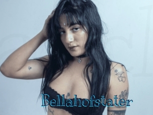 bellahofstater Archive DVD BIZ