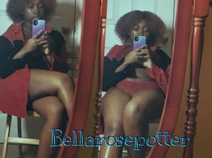 Bellarosepotter