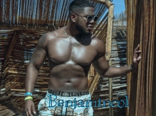 benjamincol Archive DVD BIZ