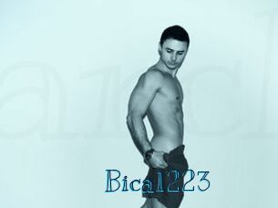 Bica1223