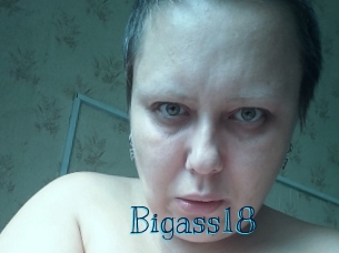 bigass18 Archive DVD BIZ