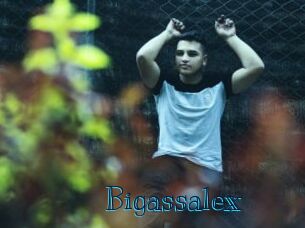 Bigassalex