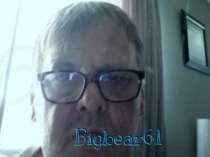 Bigbear61