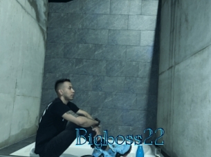 Bigboss22