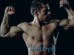 Bigboyx