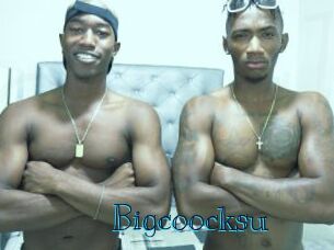 Bigcoocksu