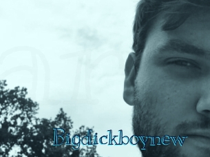 Bigdickboynew