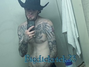 bigdickrick23 Archive DVD BIZ